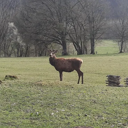Et D'hotes Du Domaine Du Val Bruant Arc-en-Barrois