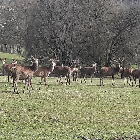 Et D'hotes Du Domaine Du Val Bruant