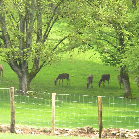 Et D'hotes Du Domaine Du Val Bruant Affittacamere