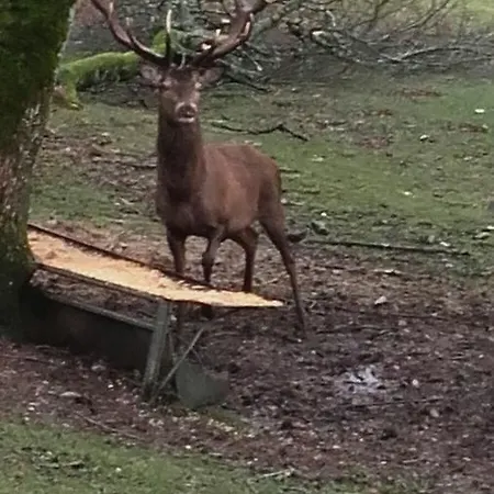 Et D'hotes Du Domaine Du Val Bruant 3* Arc-en-Barrois