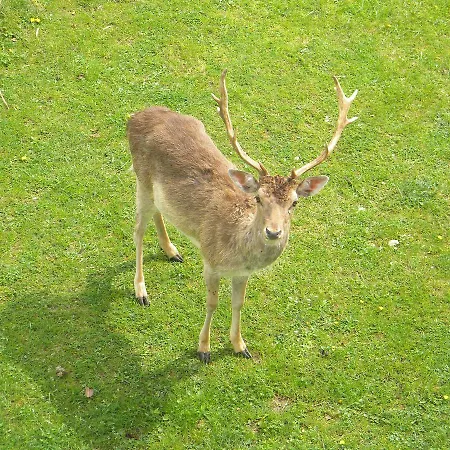 Vendégház Et D'hotes Du Domaine Du Val Bruant 3*