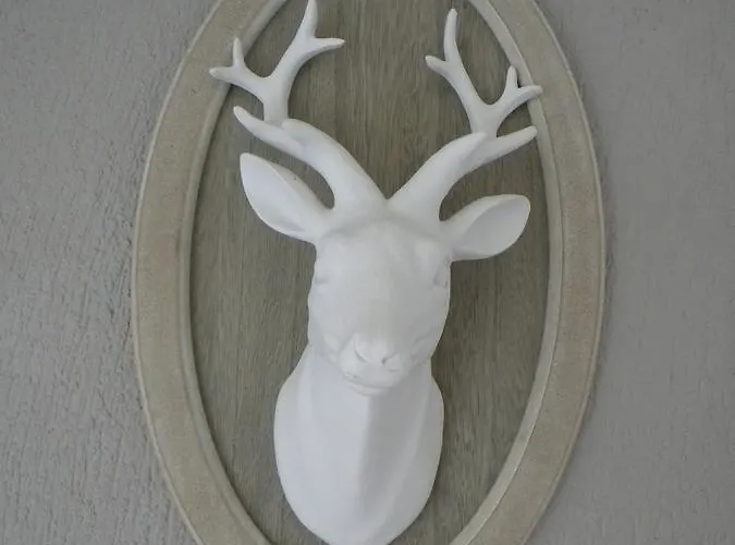 Konukevi Et D'hotes Du Domaine Du Val Bruant Arc-en-Barrois